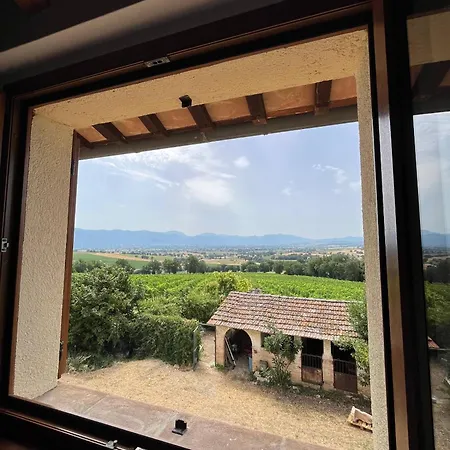 Casale Vigna Clara モンテファルコ