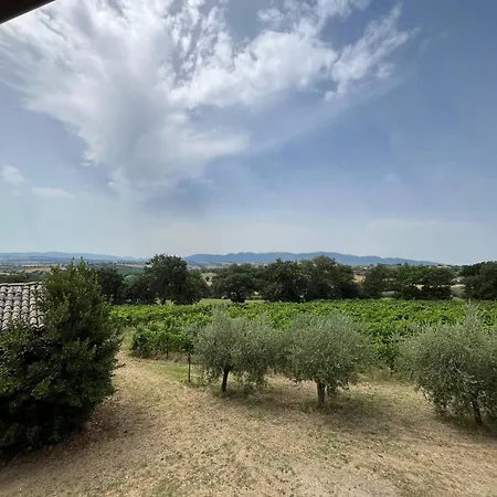 Casale Vigna Clara * モンテファルコ