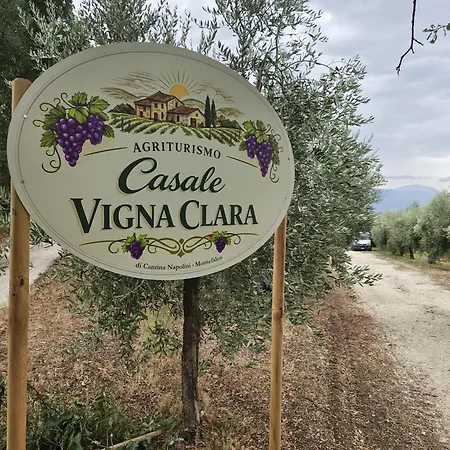 Casale Vigna Clara * Montefalco