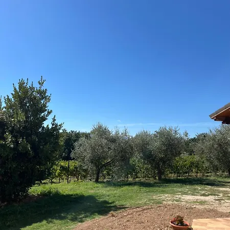 Appartement Casale Vigna Clara